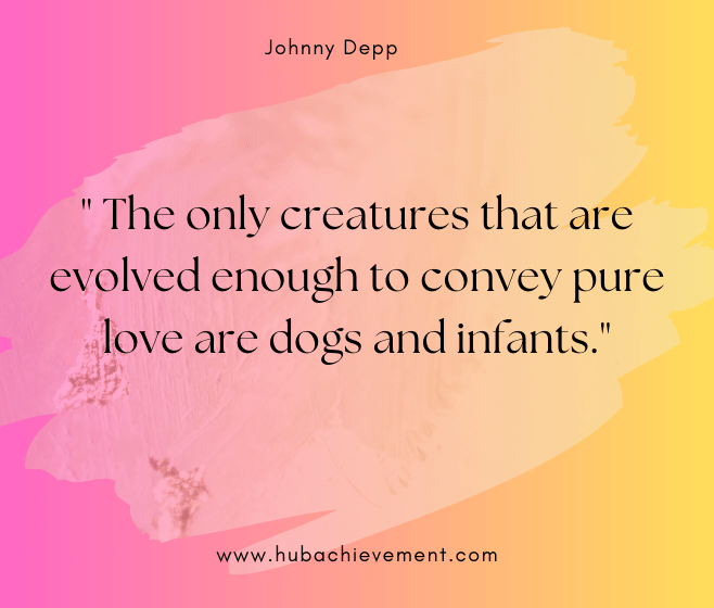 " The only creatures that are evolved enough to convey pure love are dogs and infants."